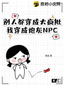 别人都穿成大疯批，我穿成炮灰NPC？