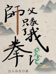 师父只教了我拳法