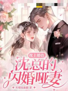 枕上婚色，沈总的闪婚哑妻