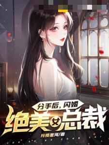 分手后，闪婚绝美女总裁