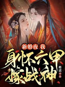 新婚夜，我身怀六甲嫁战神