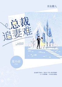 丑女撩人：总裁追妻难